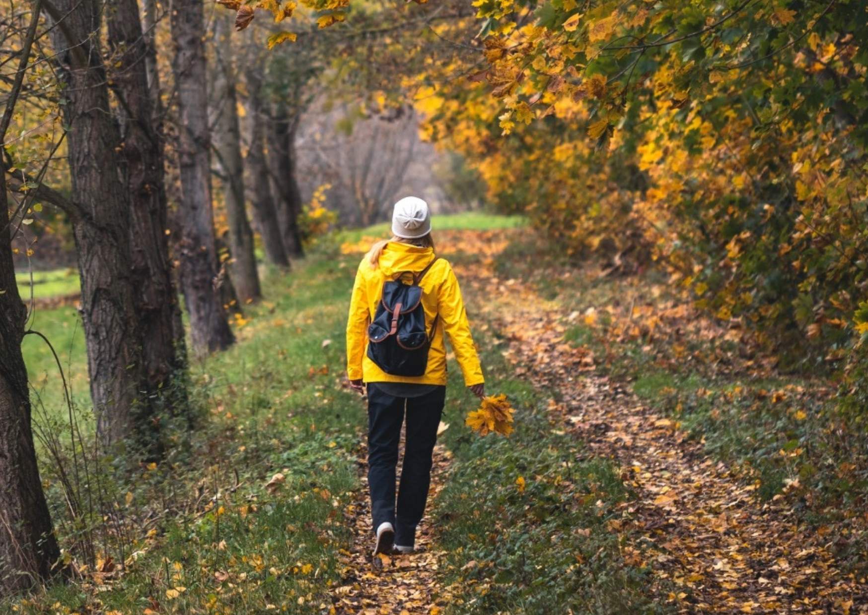 Frau beim Wandern auf einem herbstlichen Waldweg, von hinten gesehen